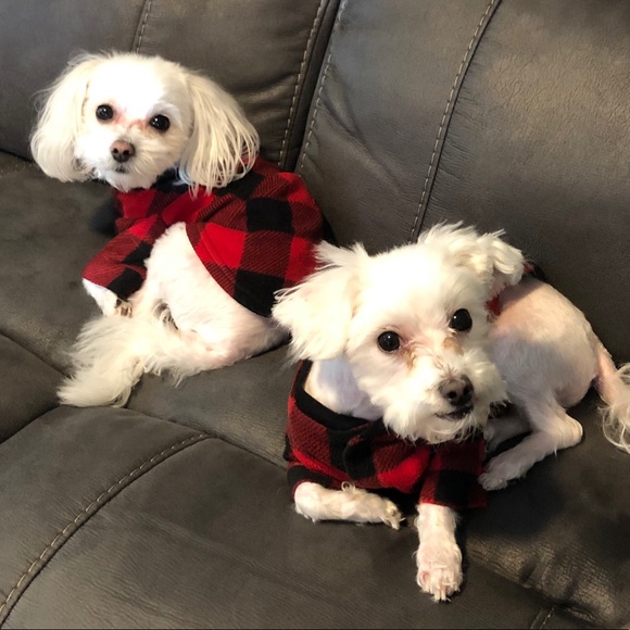 Meet your Posher, Kyndal - Picture 1 of 1